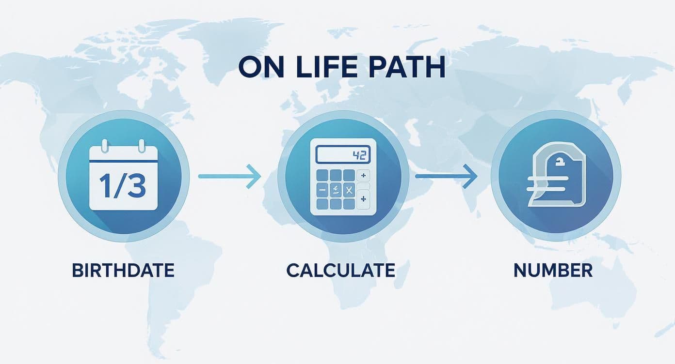 Infographic showing the process of finding your life path from your birthdate.