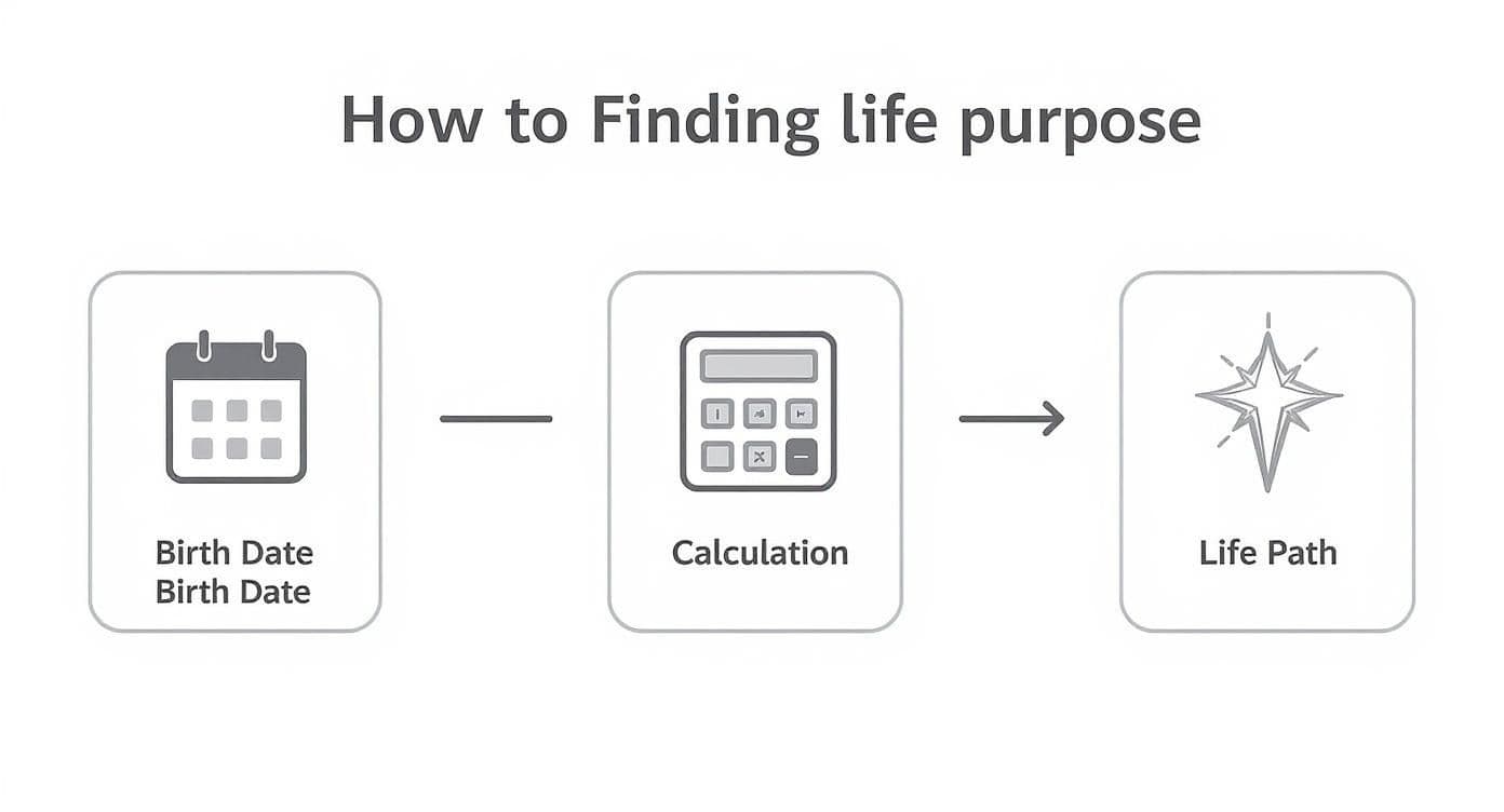 Three-step process showing birth date calendar, calculation with calculator, leading to life path star symbol