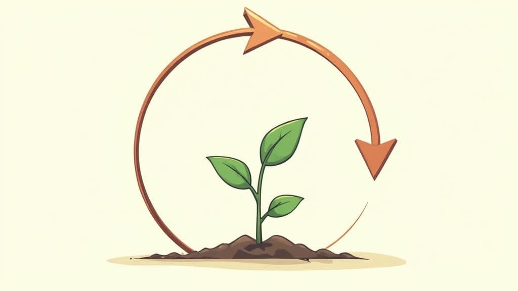 The Law of Karma (Cause and Effect)