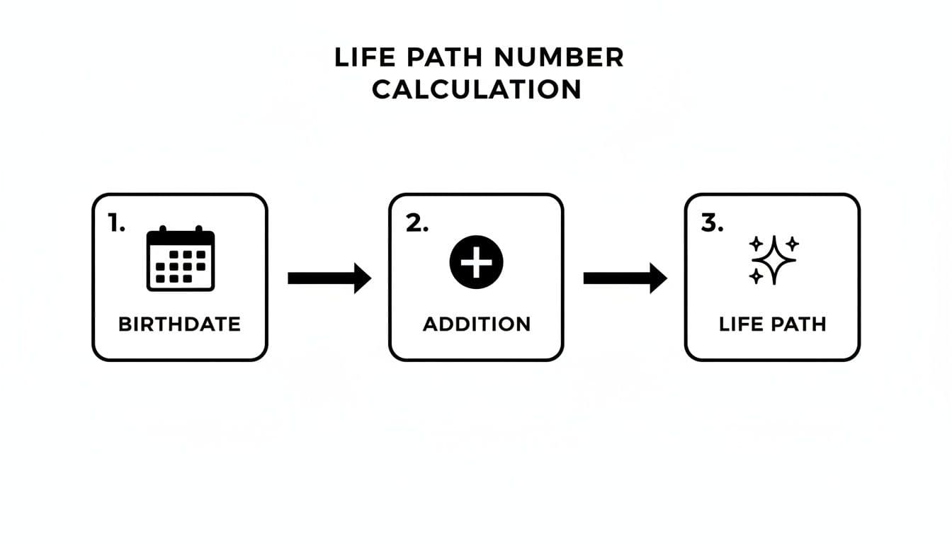 Diagram showing three steps for calculating a life path number: birthdate, addition, and life path.