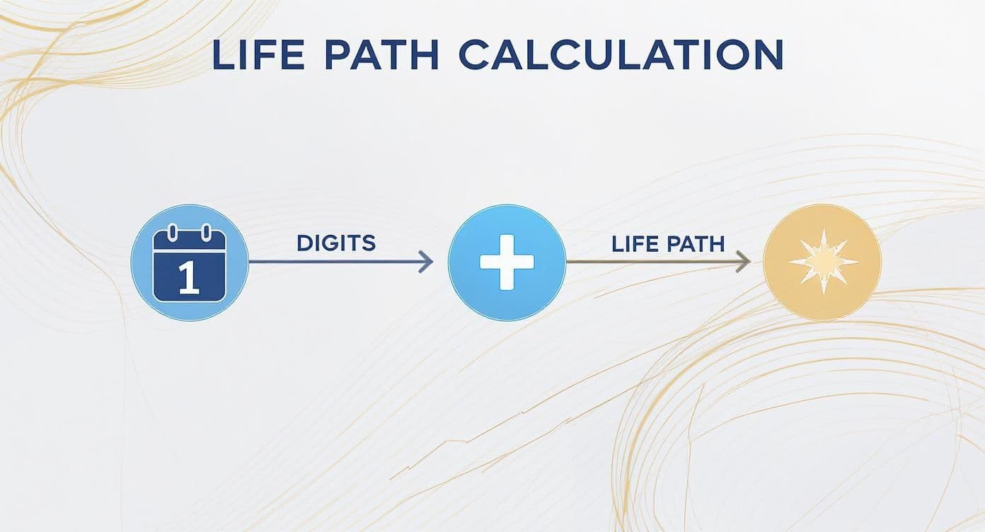Infographic about dan millman numerology