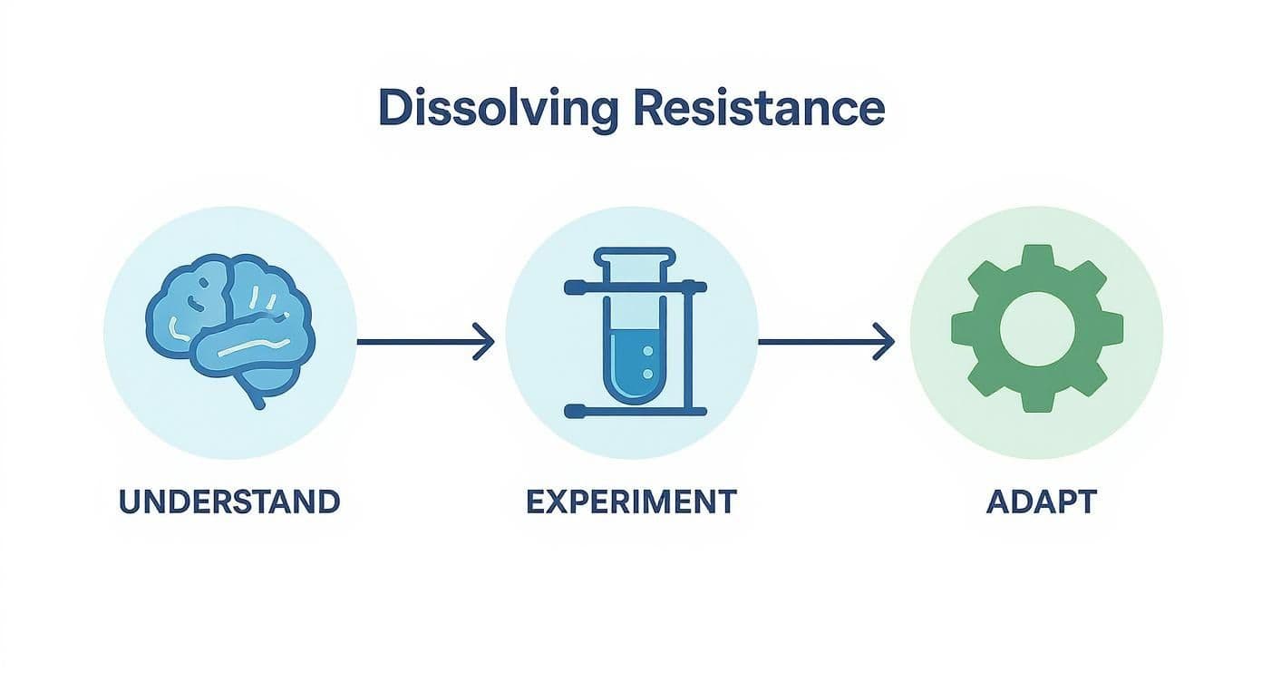 Three-step process diagram showing brain, test tube, and gear representing understand, experiment, and adapt phases