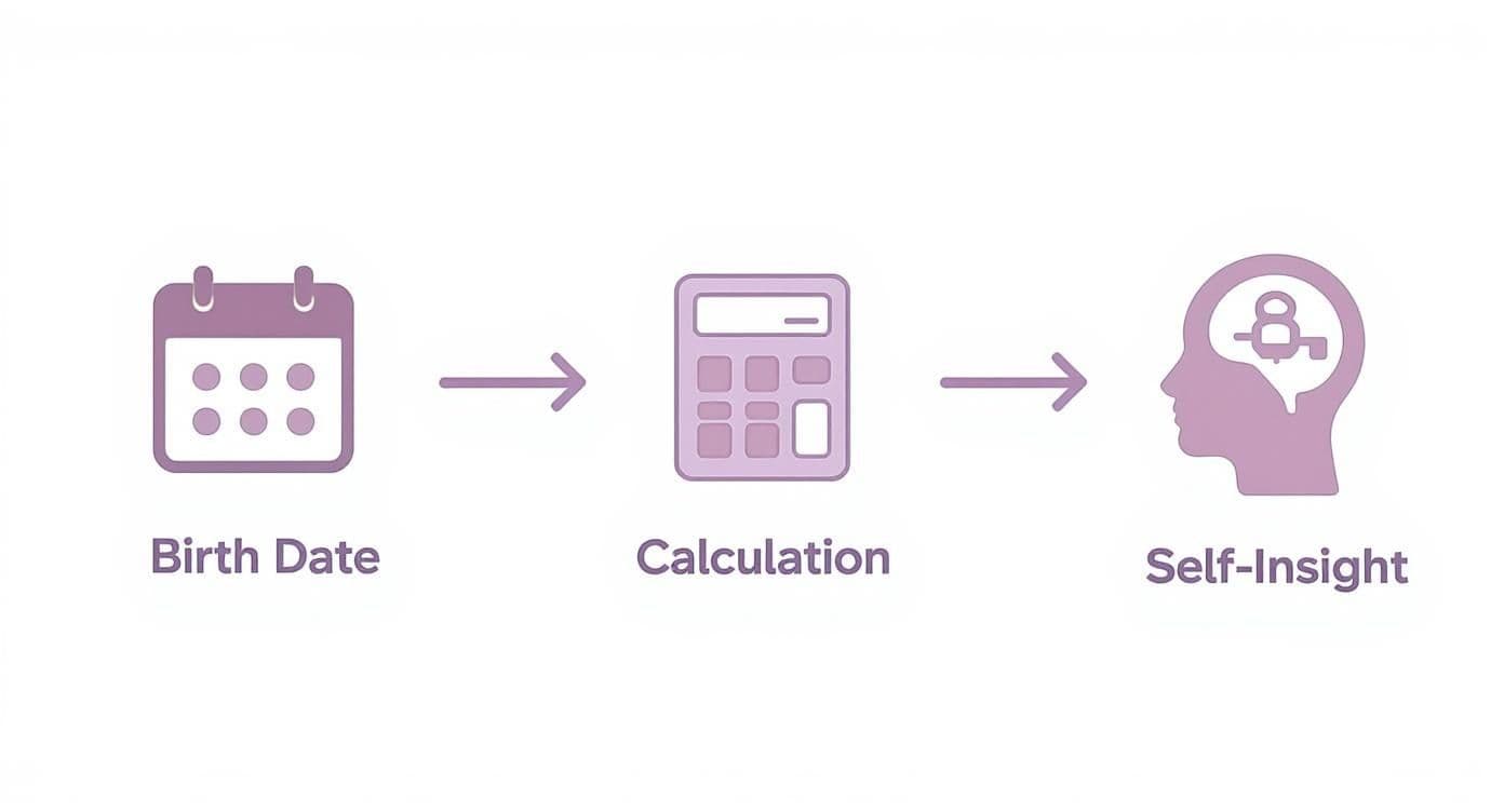 Infographic about finding life path number