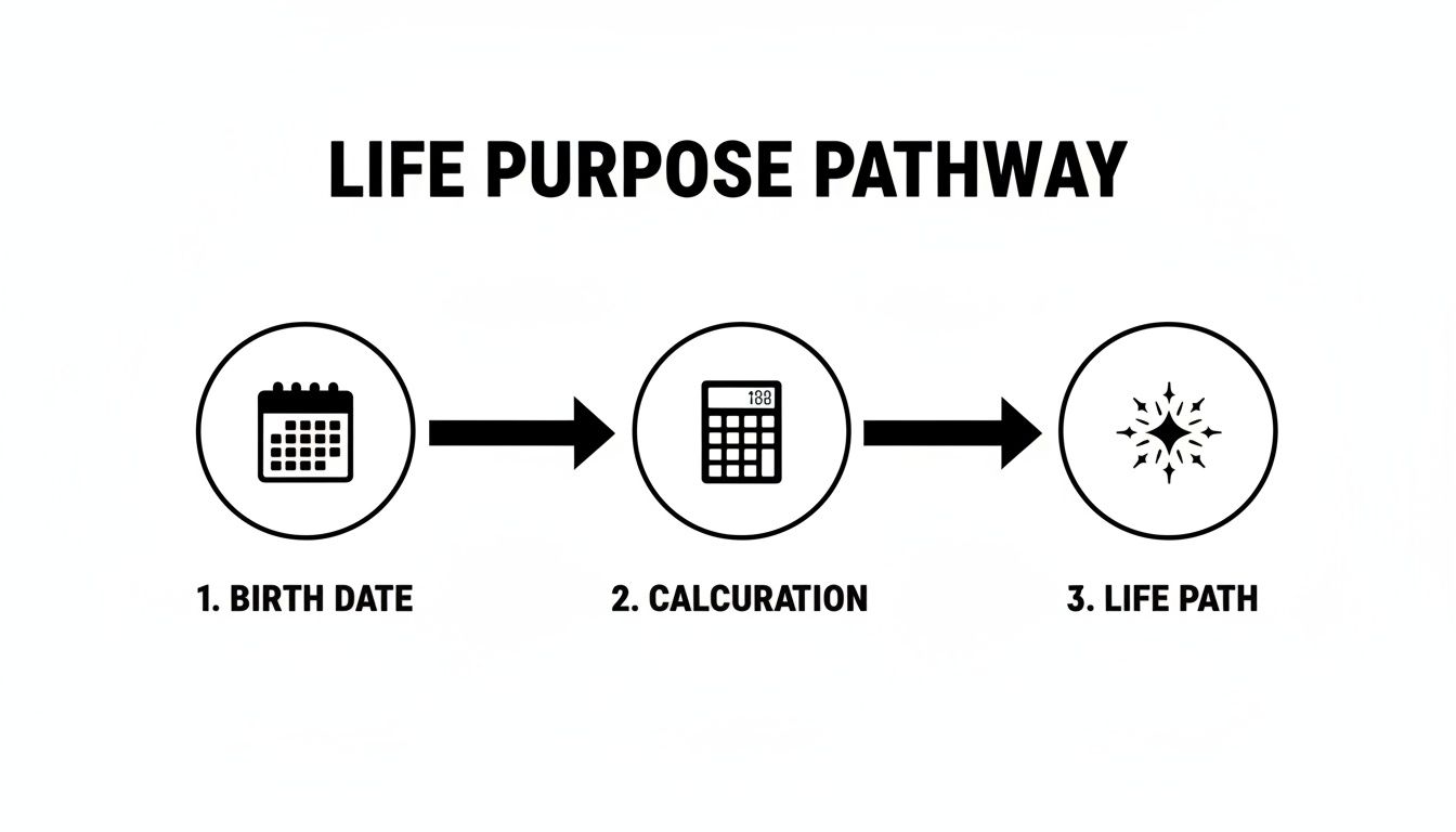 A diagram illustrating the life purpose pathway from birth date through calculation to life path.