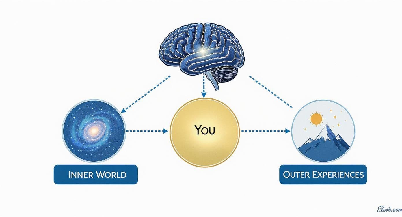 Infographic about what are the 12 universal laws