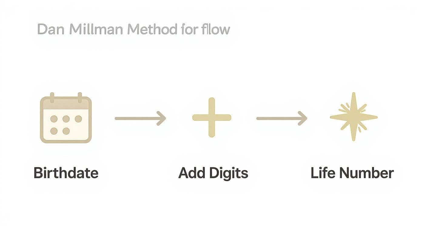 Infographic about calculate my life path number