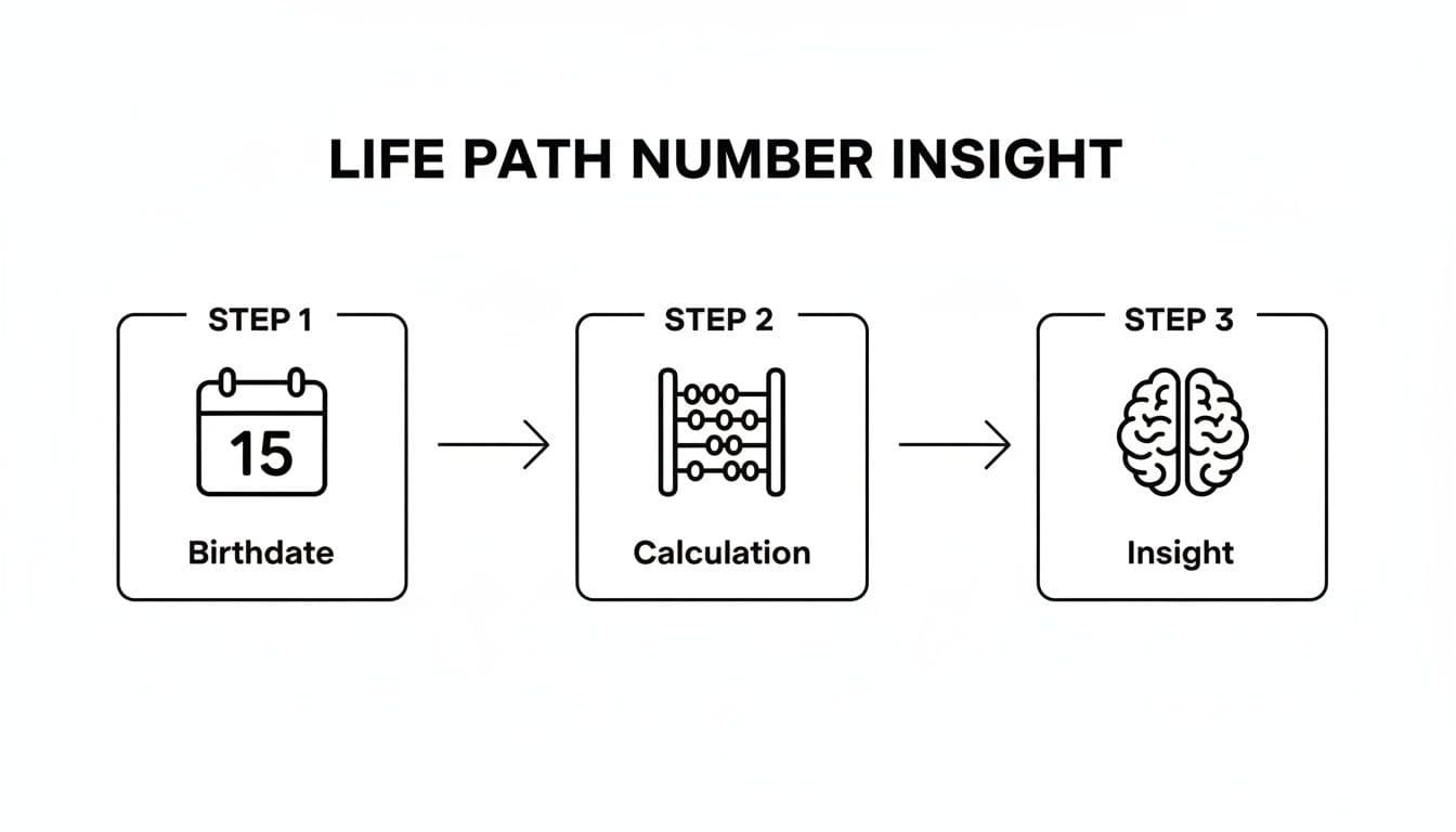 A diagram illustrating the three steps to calculate life path numbers: Birthdate, Calculation, and Insight.