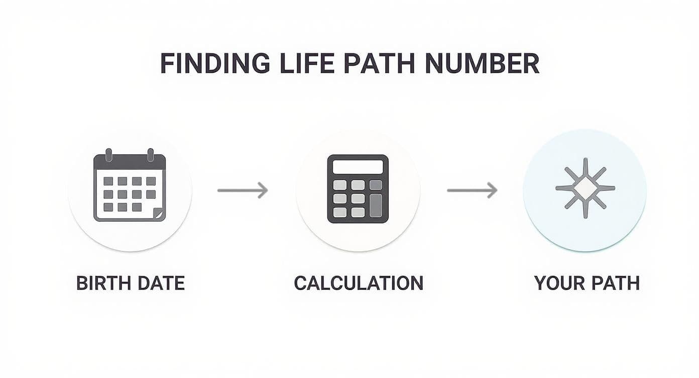 Infographic about find life path number