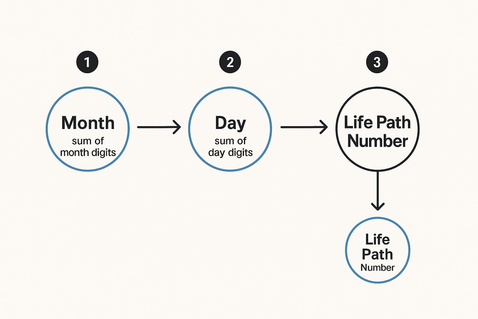 Infographic showing the three-step process to calculate your Life Path Number by adding month, day, and year.