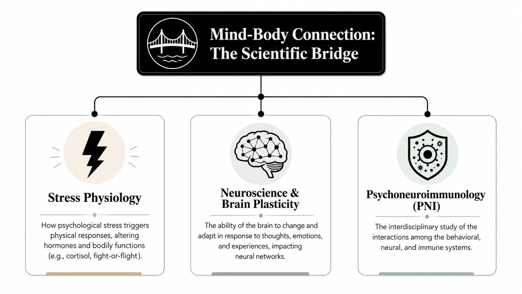 A diagram illustrating the mind-body connection through stress physiology, neuroscience, brain plasticity, and psychoneuroimmunology concepts.