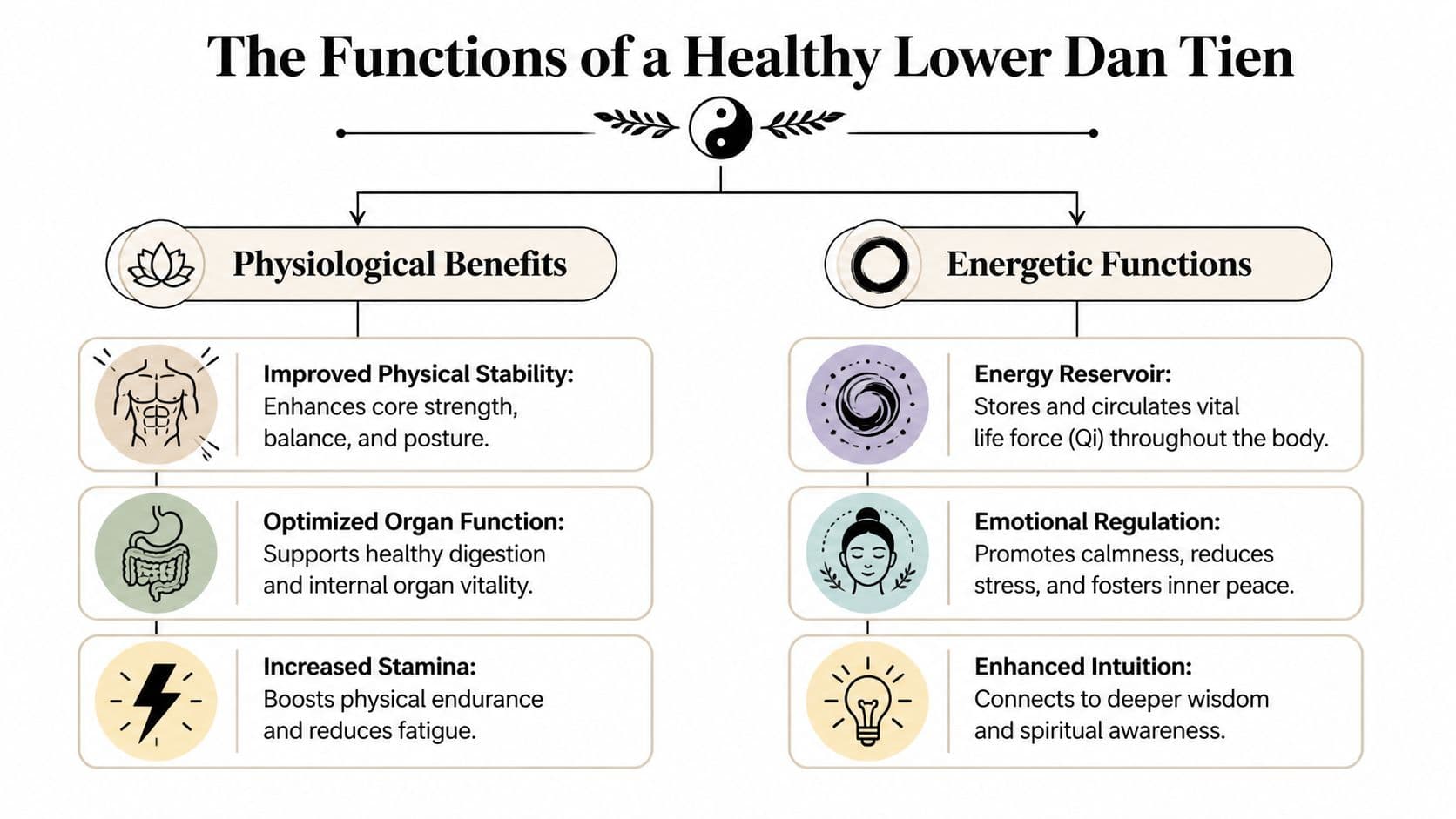 A diagram outlining the physiological and energetic benefits of a healthy Lower Dan Tien in traditional practice.