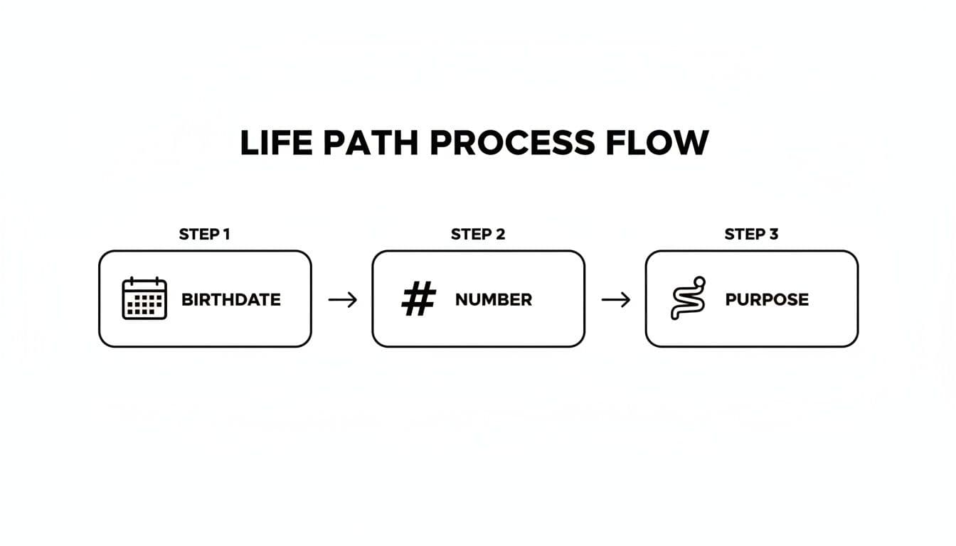 A life path process flow diagram showing three steps: Birthdate, Number, and Purpose.