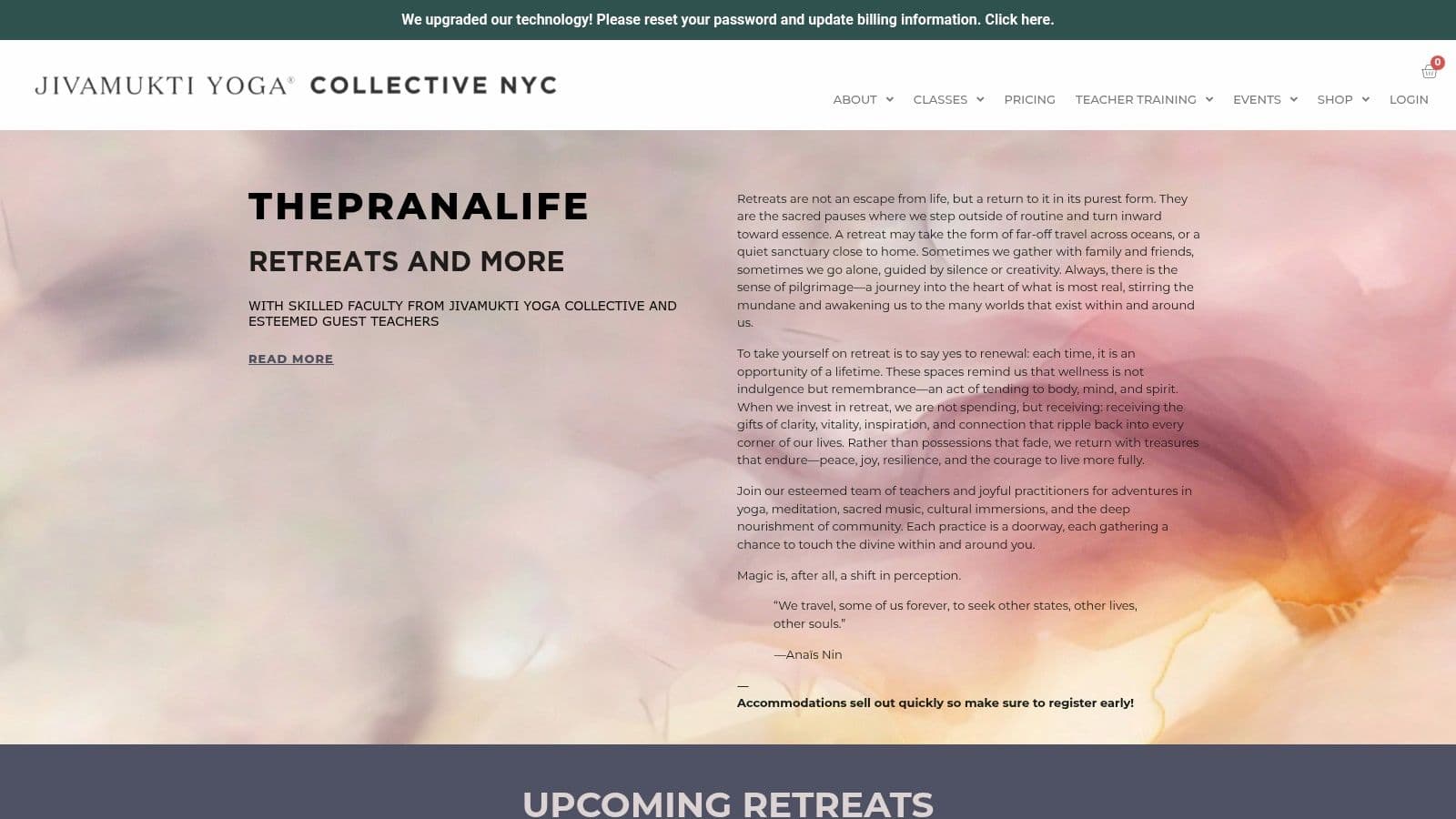 Jivamukti Yoga Collective NYC (Lower East Side)